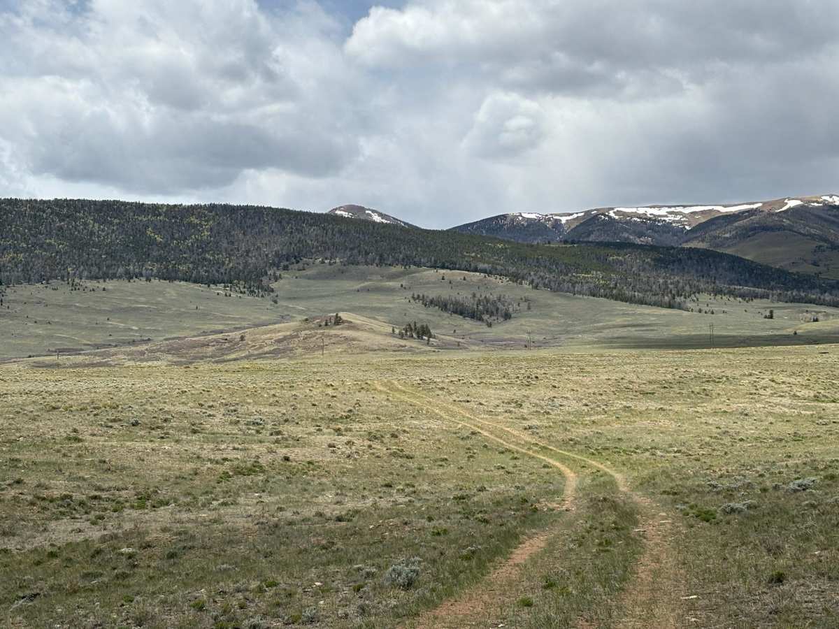 Turquoise Road photo 5