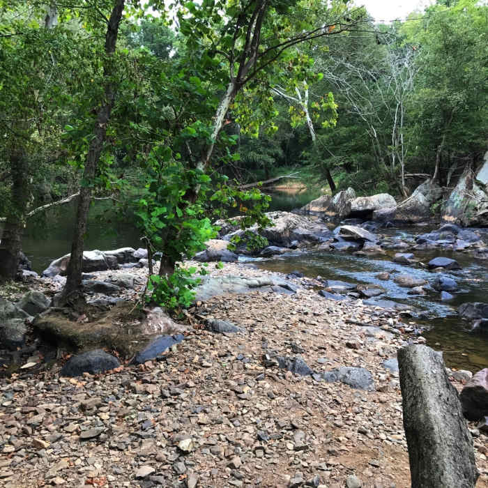 Near Laurel Bluff Trail (Central)