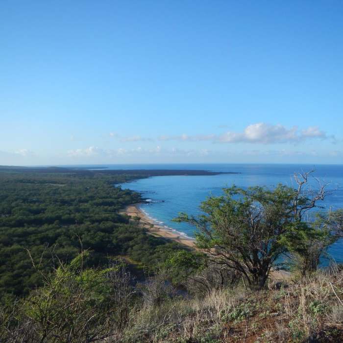 Near Pu'u Ola'i / Red Hill