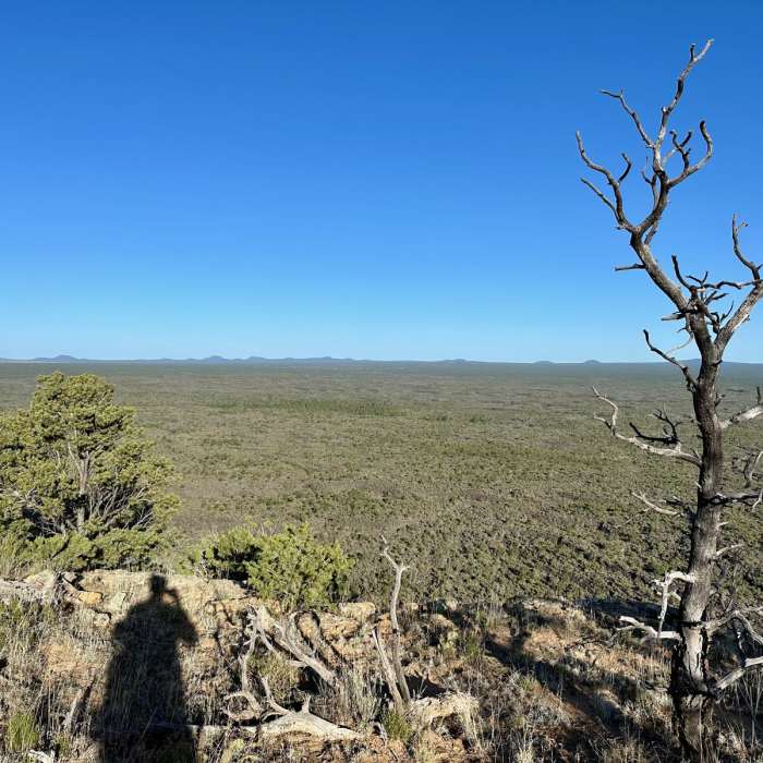 Near CDT: Ley Alternate (El Malpais Road + The Narrows)