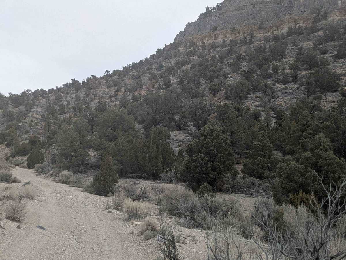 Side Canyon Road photo 3