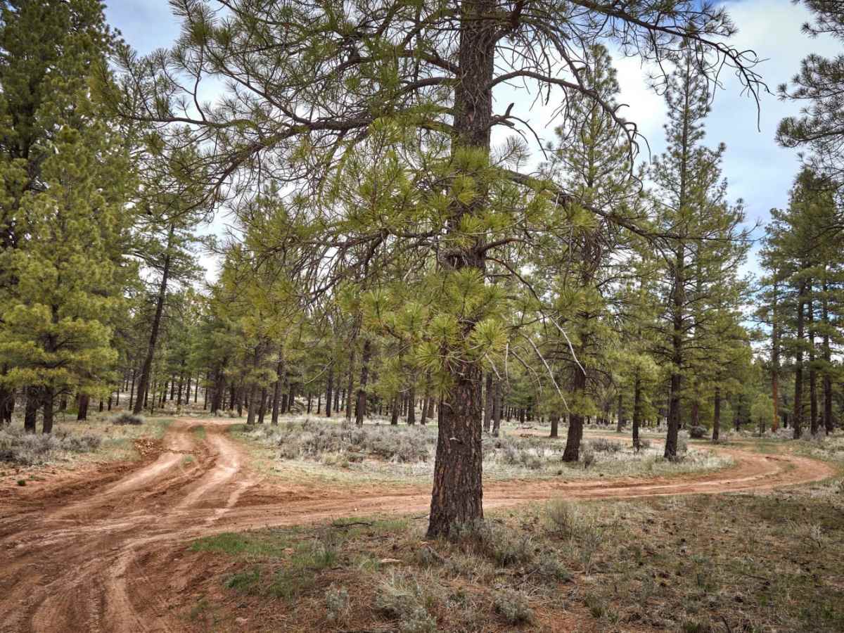 Supai Village 328 photo 2