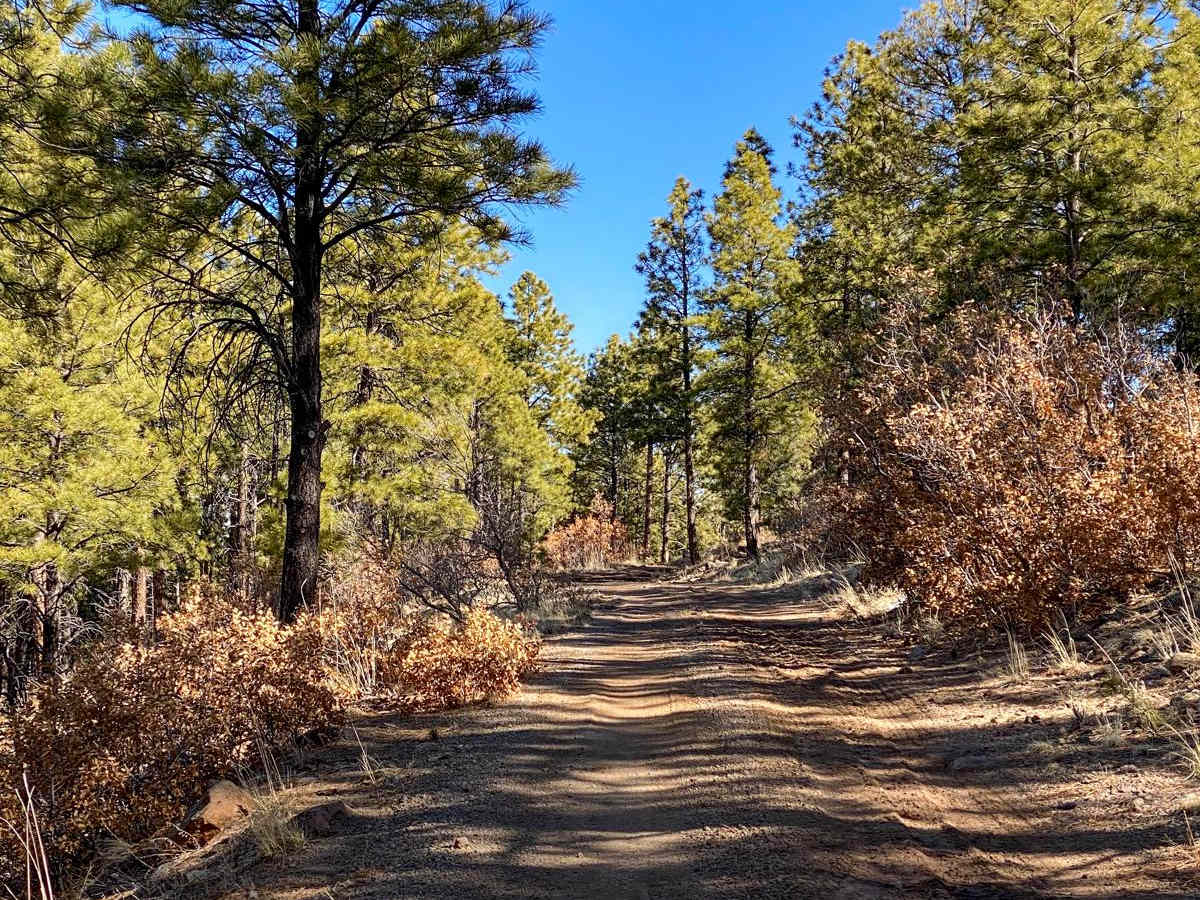 Clara Peak photo 5