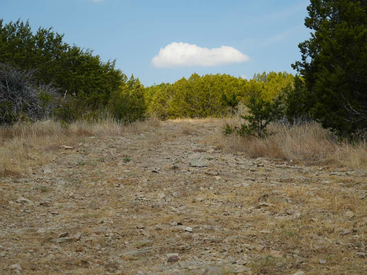 Blue 56 trail photo