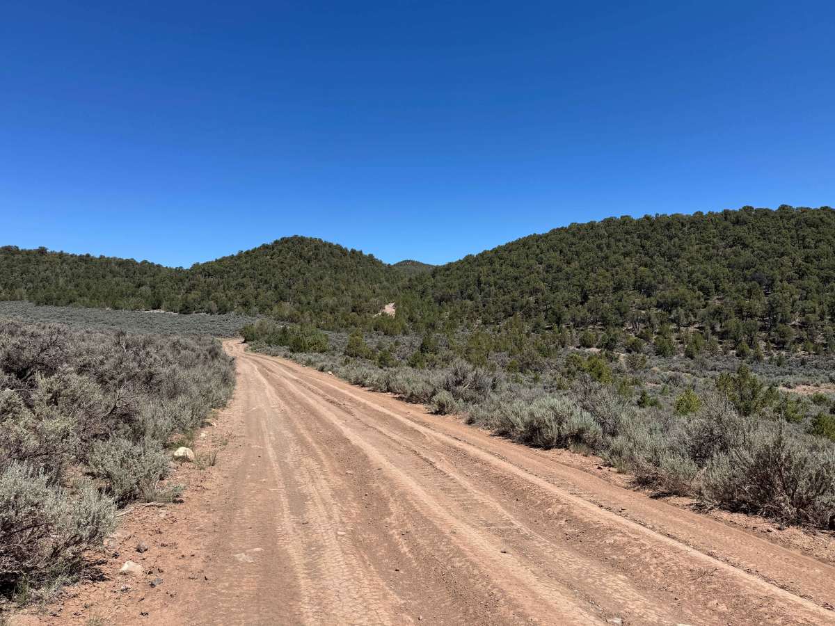 BLM 8480B photo 5