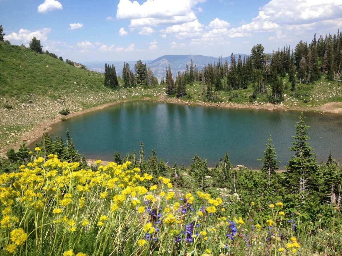 Smith Lakes photo 5