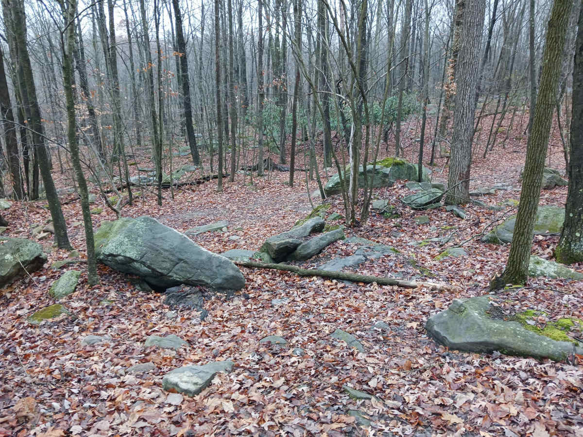 OHV 29 - Rock Run Recreation Area photo 4