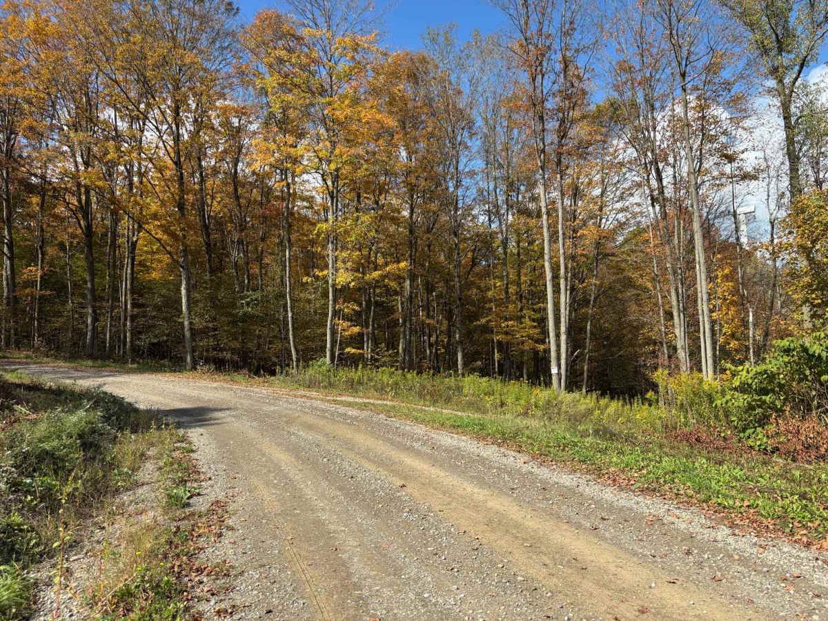 Beechner Road trail photo