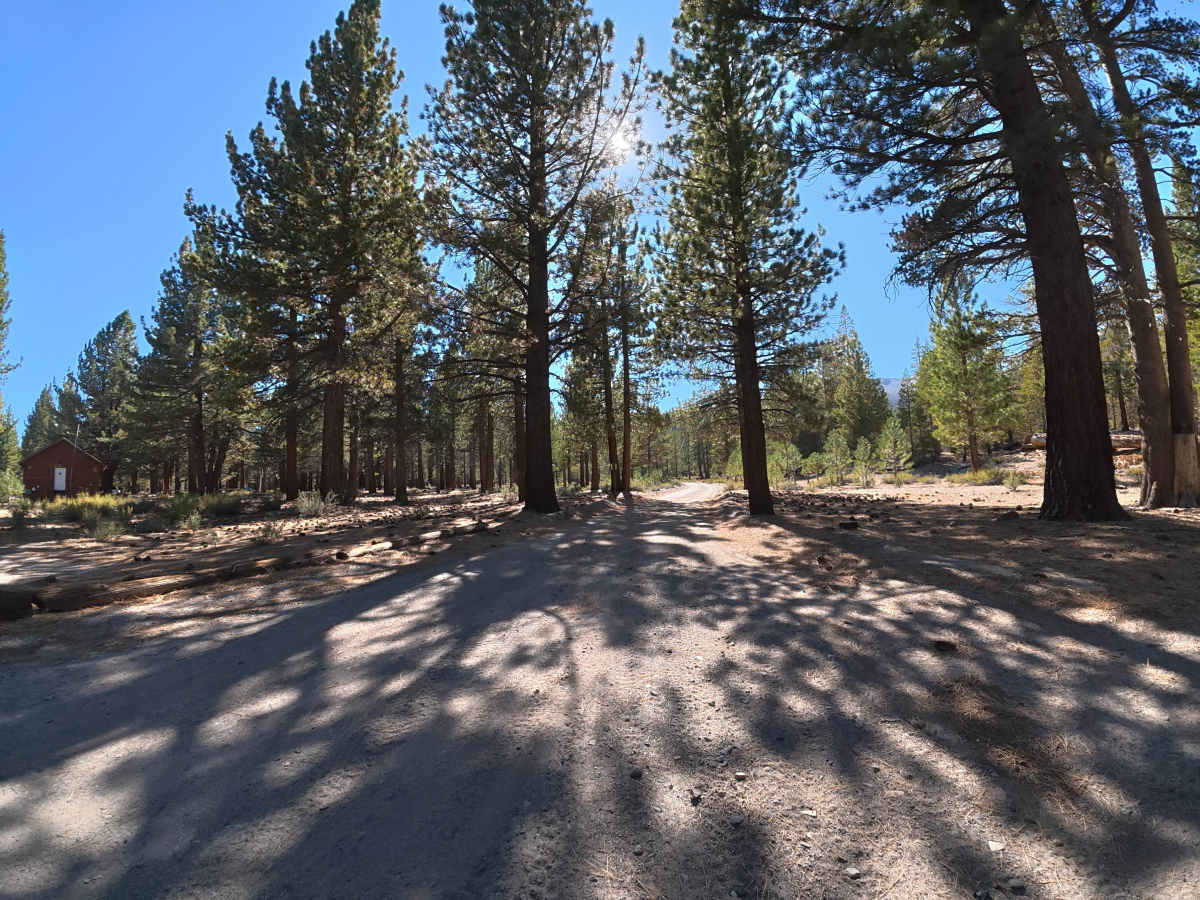 FS 2S49D trail photo