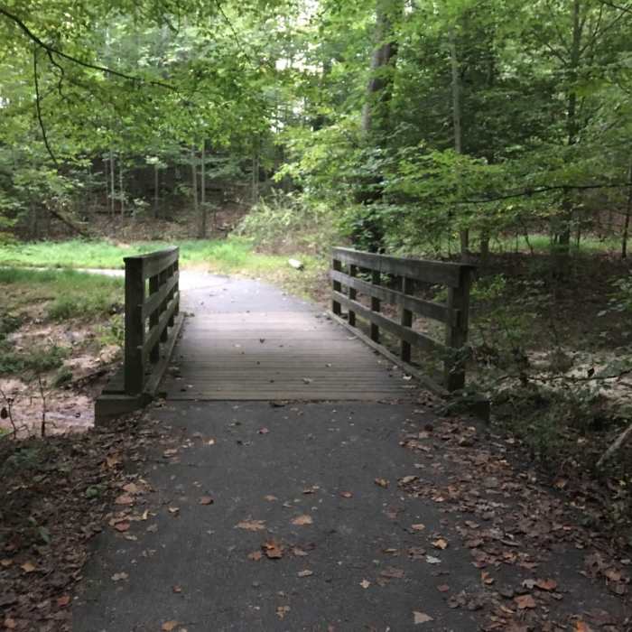 Bridge over stream at southern side of lake. Near South Run - Mercer Lake Loop Route