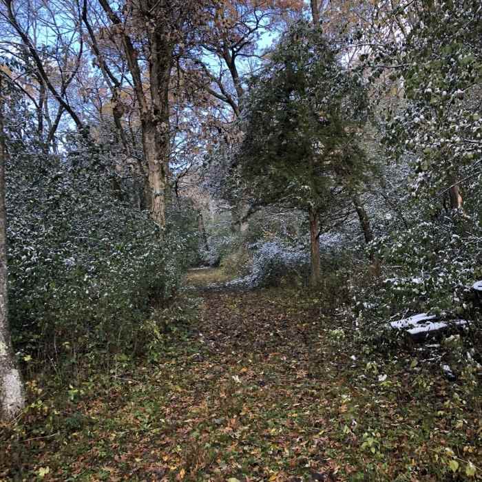 Near North Sand Prairie Trail