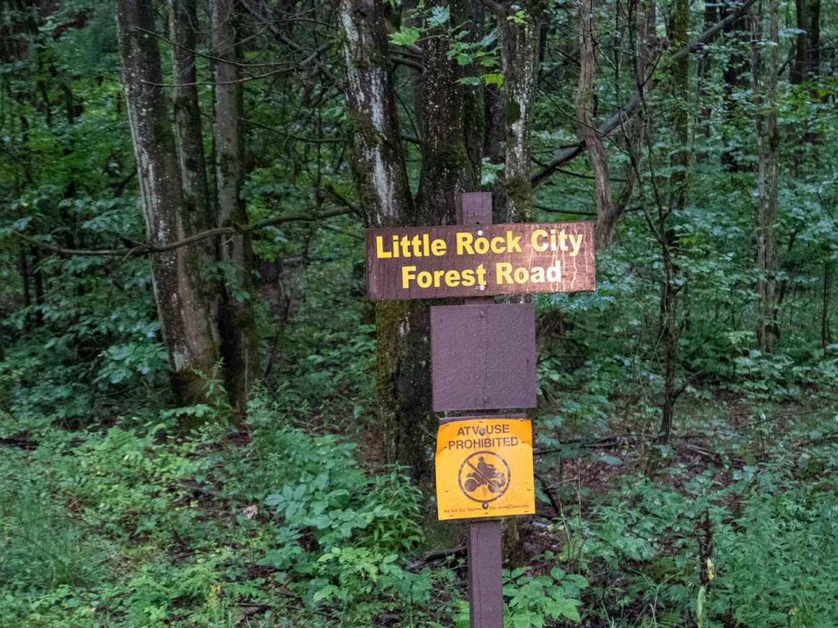 Little Rock City Forest Road photo 2