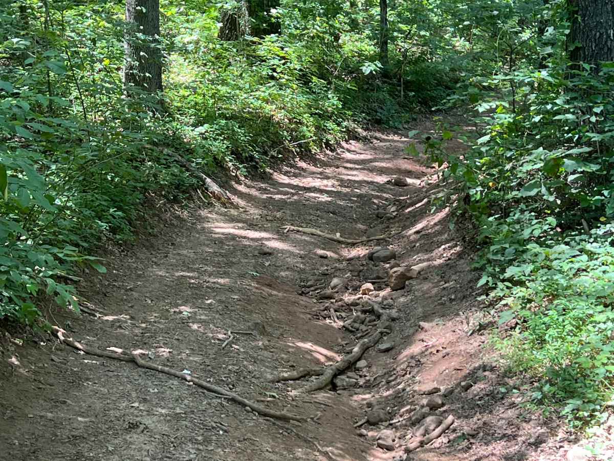 Hatley Mountain Spur trail photo