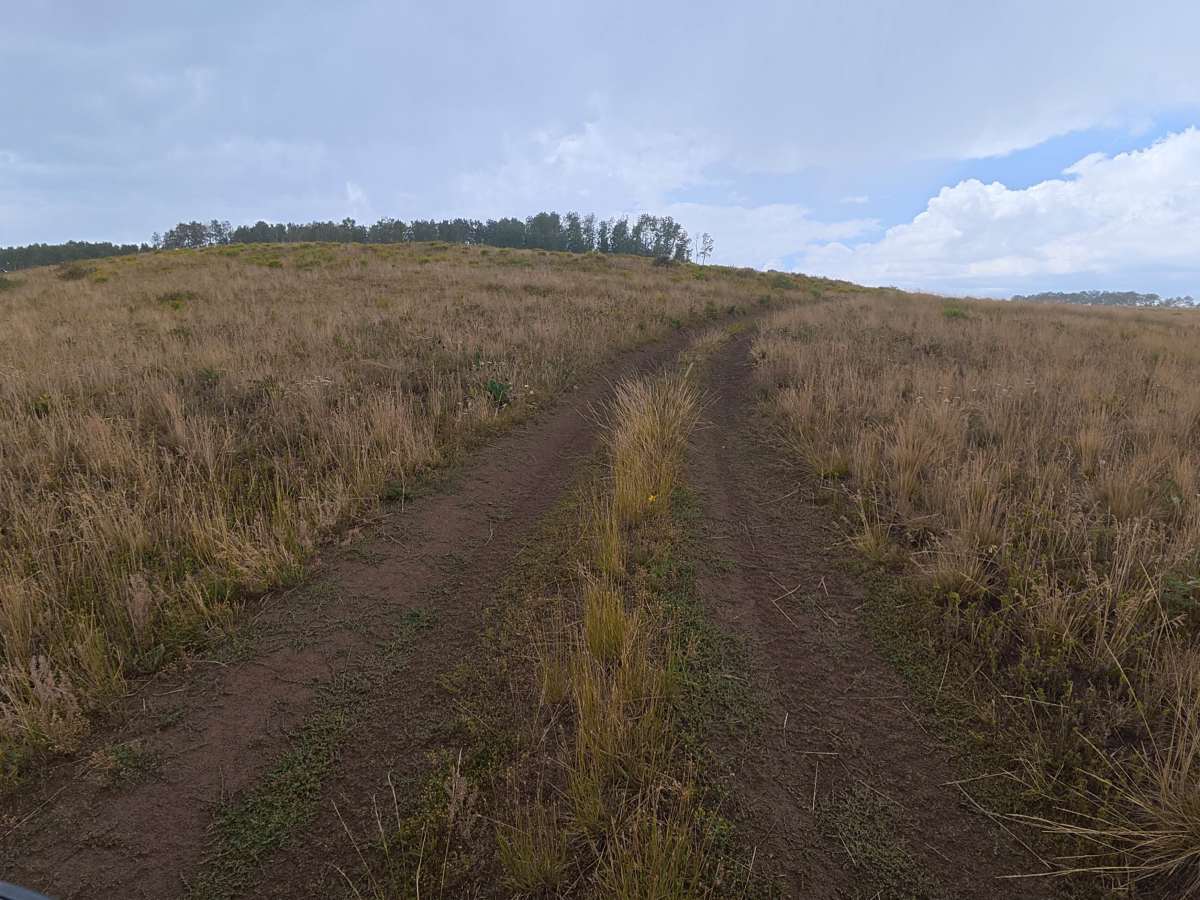 Red Elephant Hill Road - FS 811 photo 3