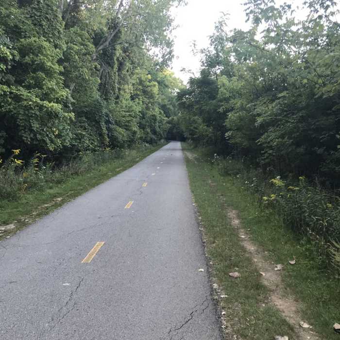 Paved path on Olentangy Trail near the Buckeye Swamp. Near Olentangy Trail