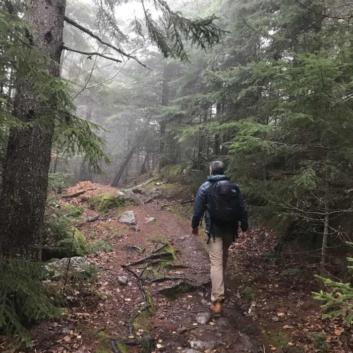 Near pine mountain summit. The only views that I saw were from the ledge. Near Ledge to Pine Mountain Loop