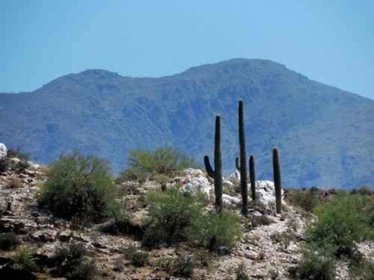 Back Way to Black Canyon City trail photo