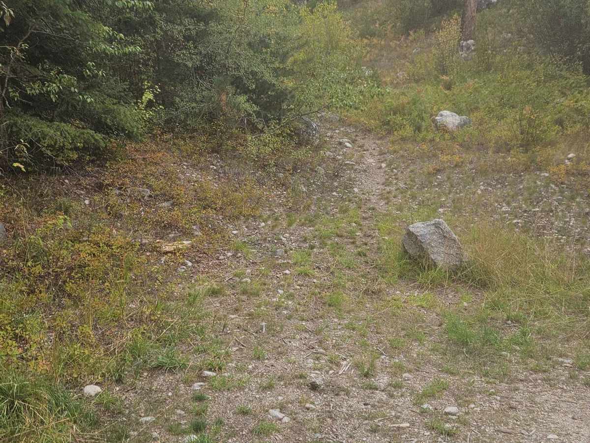 Gash Creek Singletrack photo 2