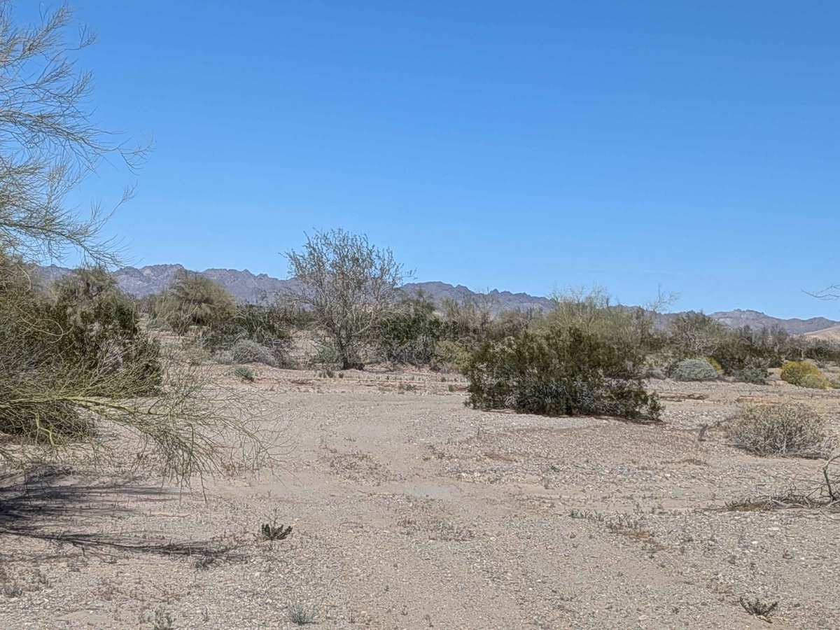 BLM 761 trail photo