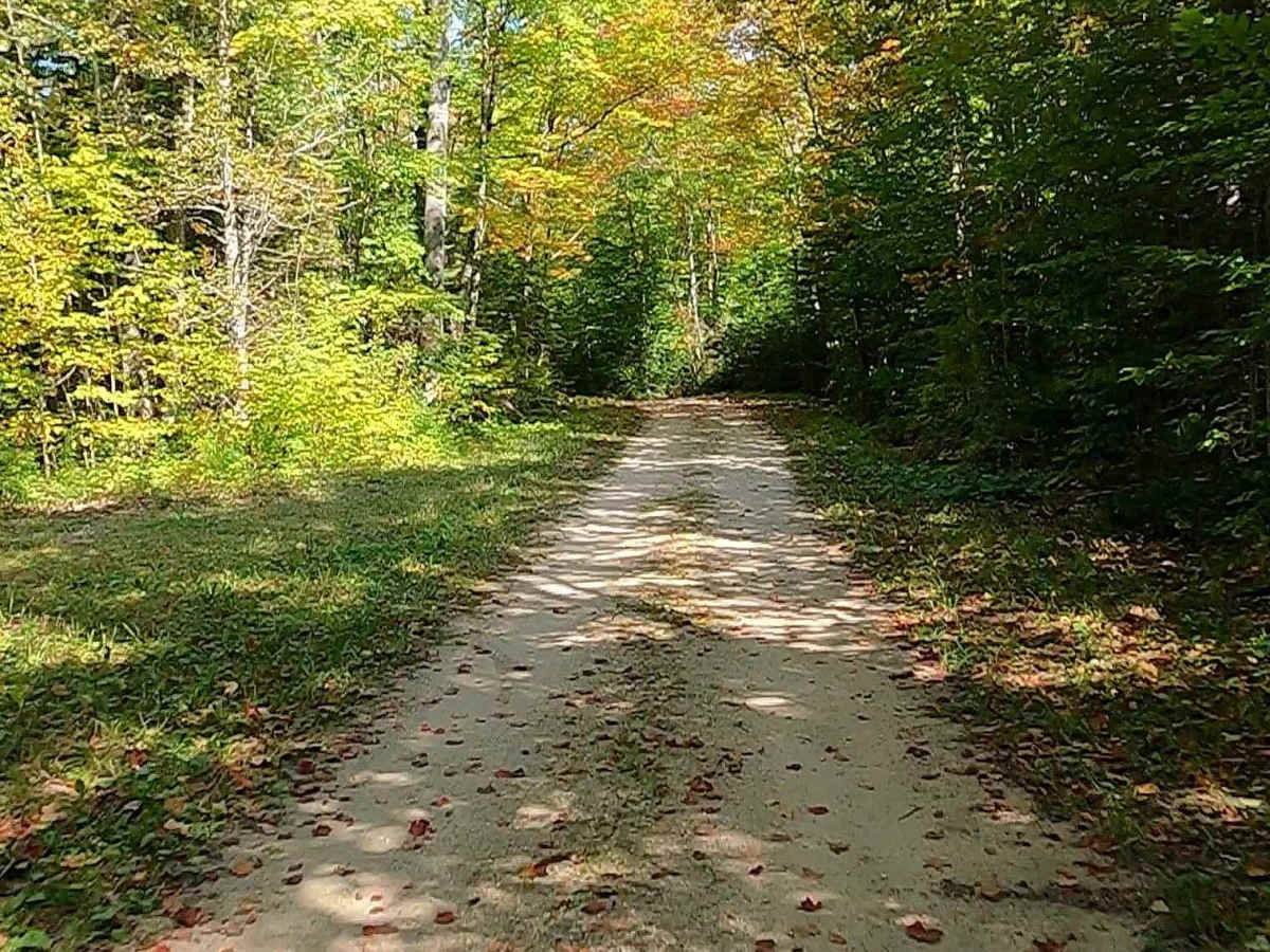 Koski Road - FS 3330 photo 5