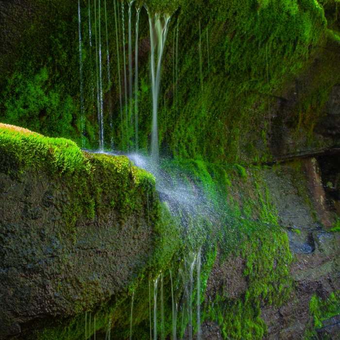 Near North Point Mountain via Escarpment + Marys Glen Trails