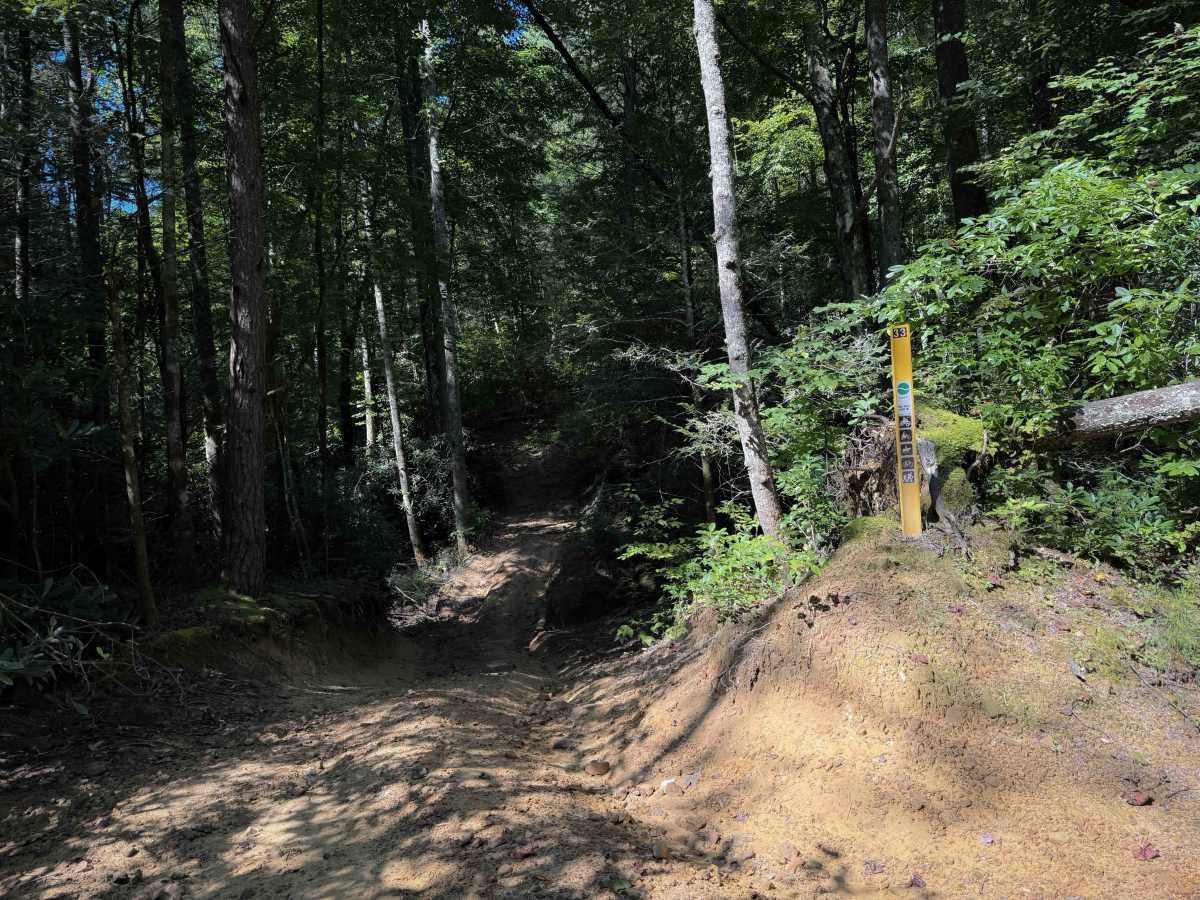 Short Ridge Trail photo 2