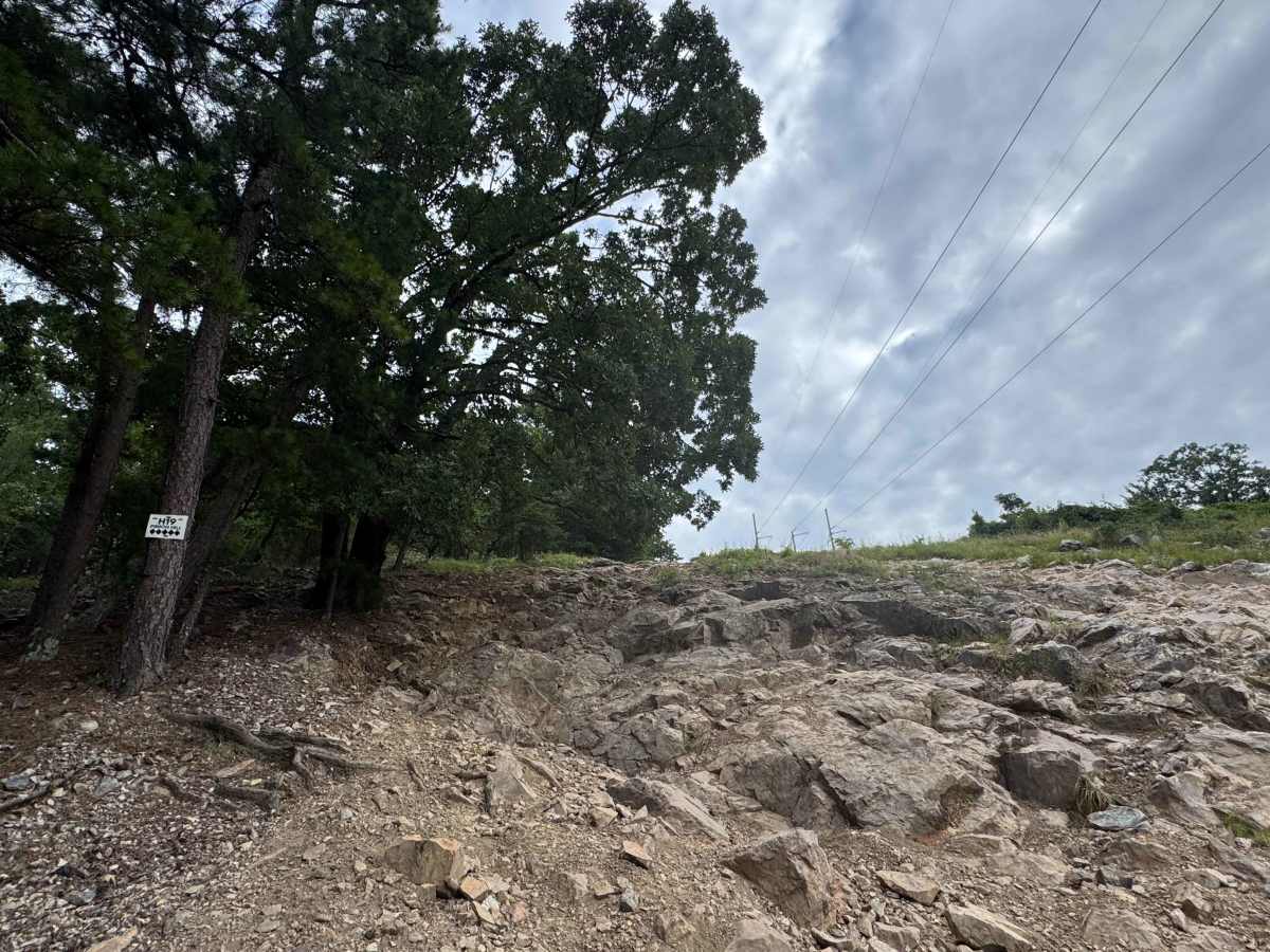 H19 Pinion Hill photo 2