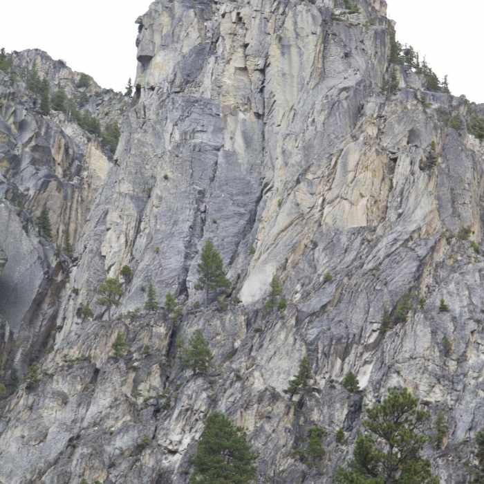 Near Queens River Trailhead to Queens River Falls + Nanny Creek