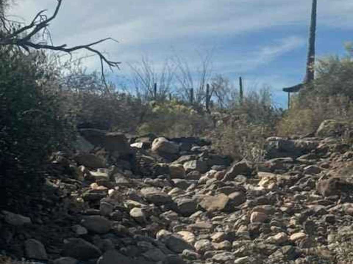 Mine Mountain  photo 3