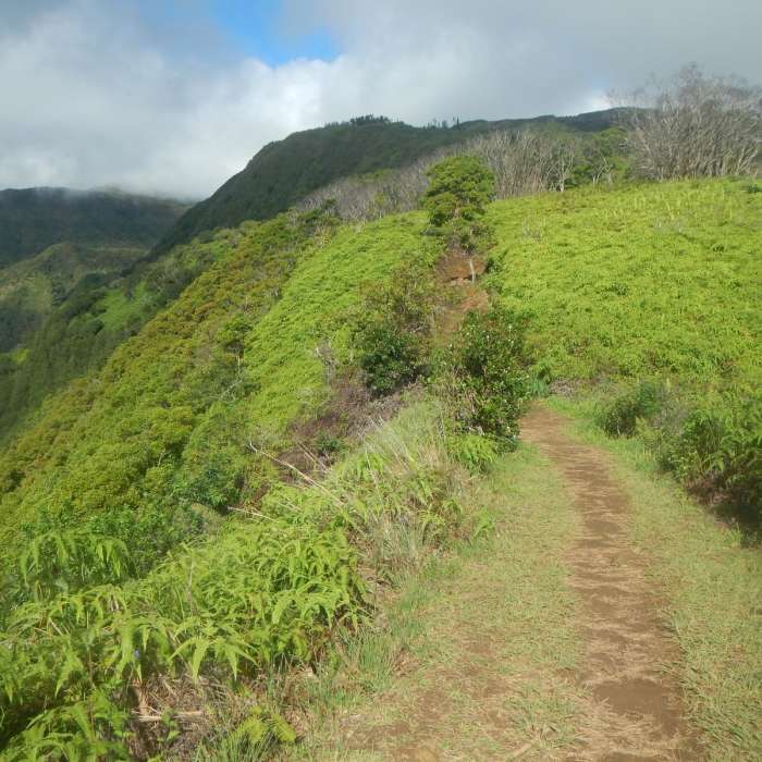 Near Waihe'e Ridge Near Waihe'e Ridge