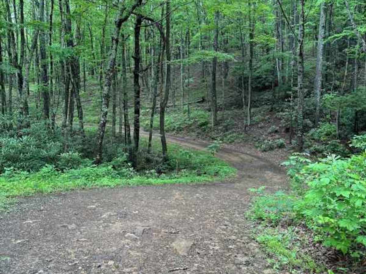 Jordan Run photo 2