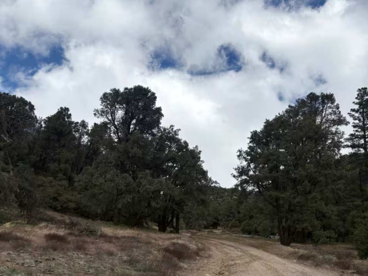 Camp Marion - FS 9N34 photo 4
