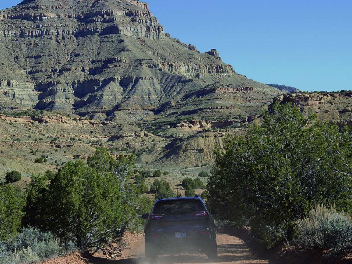 Book Cliffs, Sego Canyon photo 3
