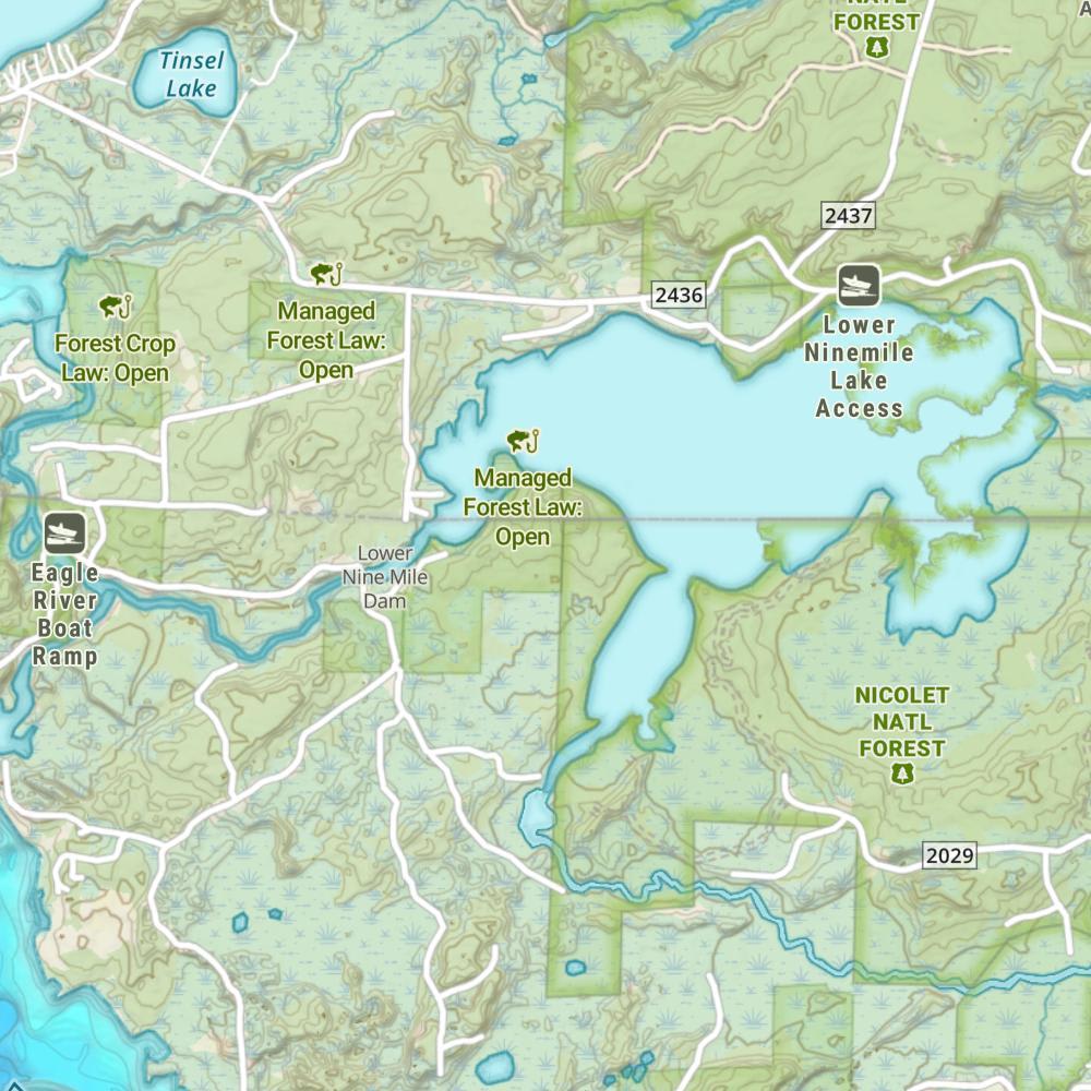 Lower Ninemile Lake photo