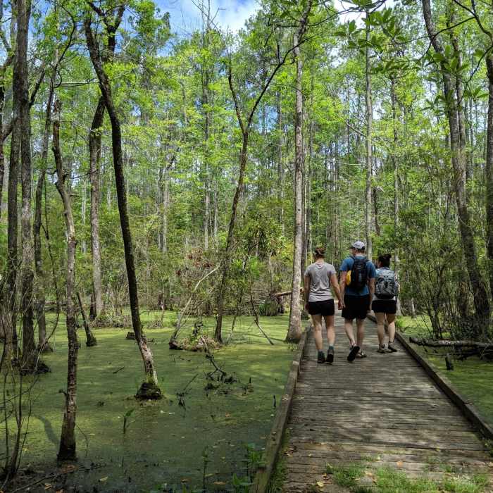 Near Tar-Kiln Trail