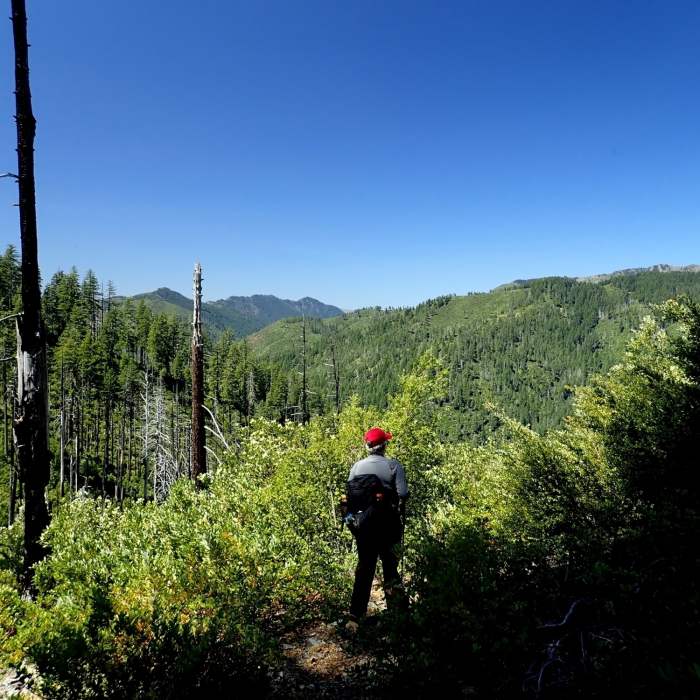 Near Silver Peak - Hobson Horn Trail #1166