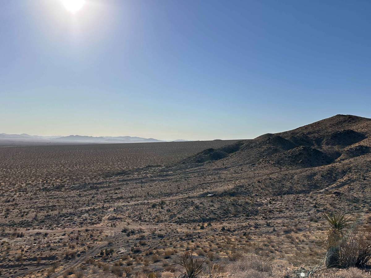 Desert Crown photo 5