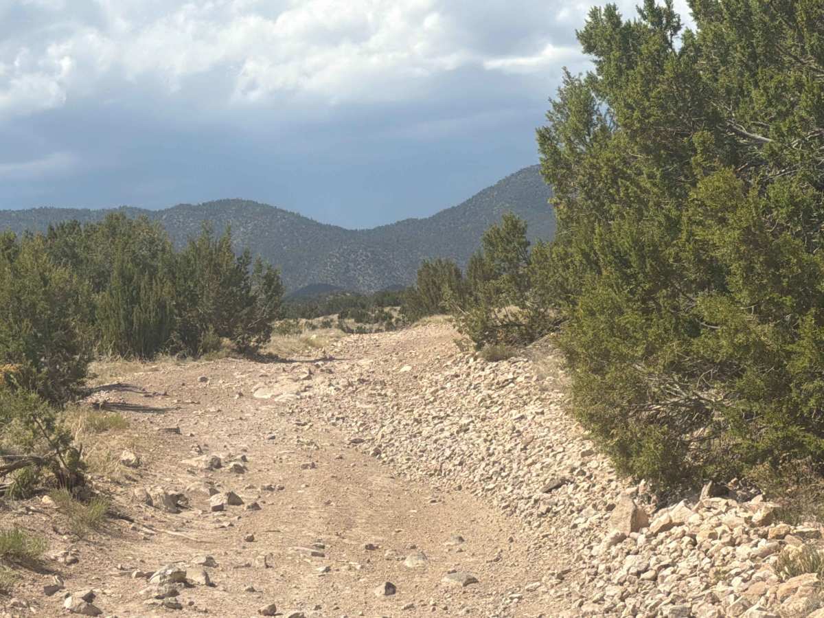 BLM 6101 photo 4