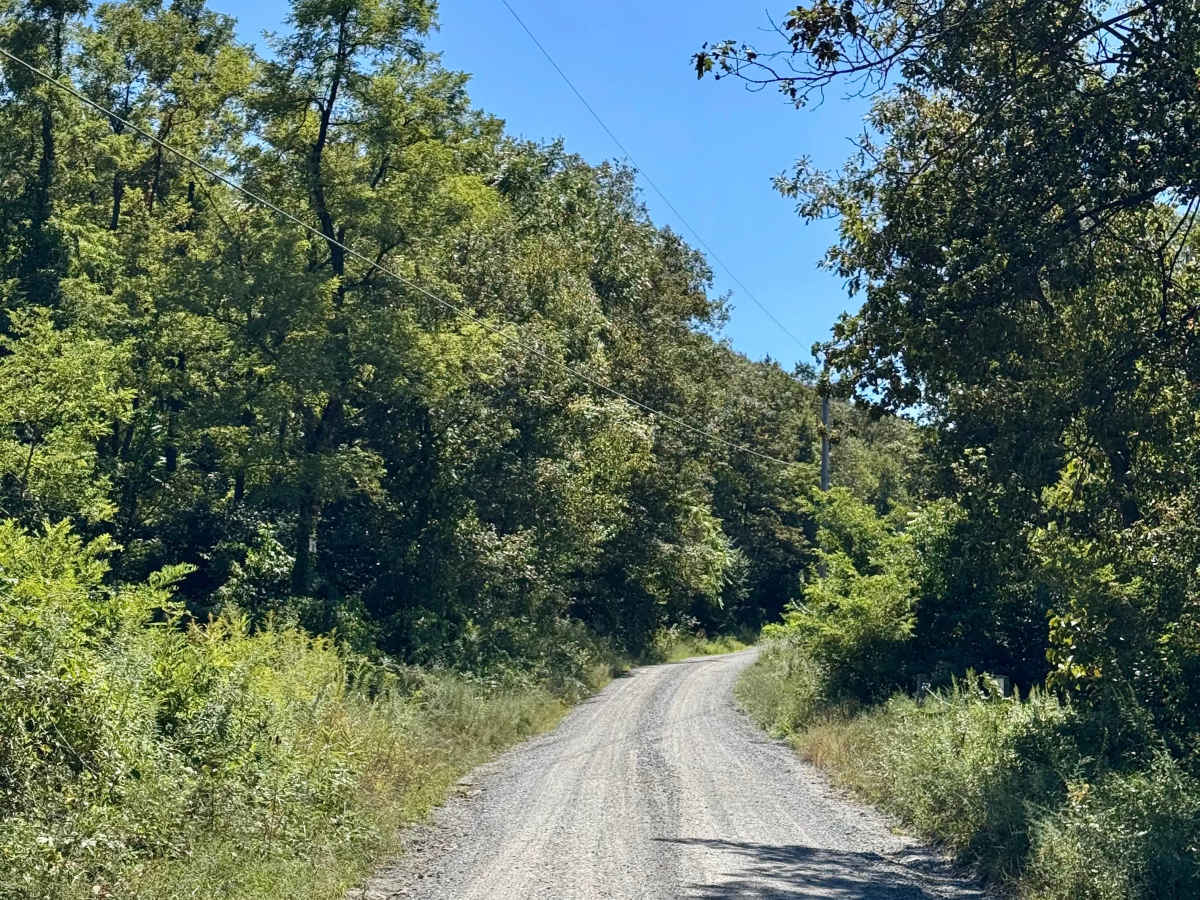 Bear Valley Road photo 5