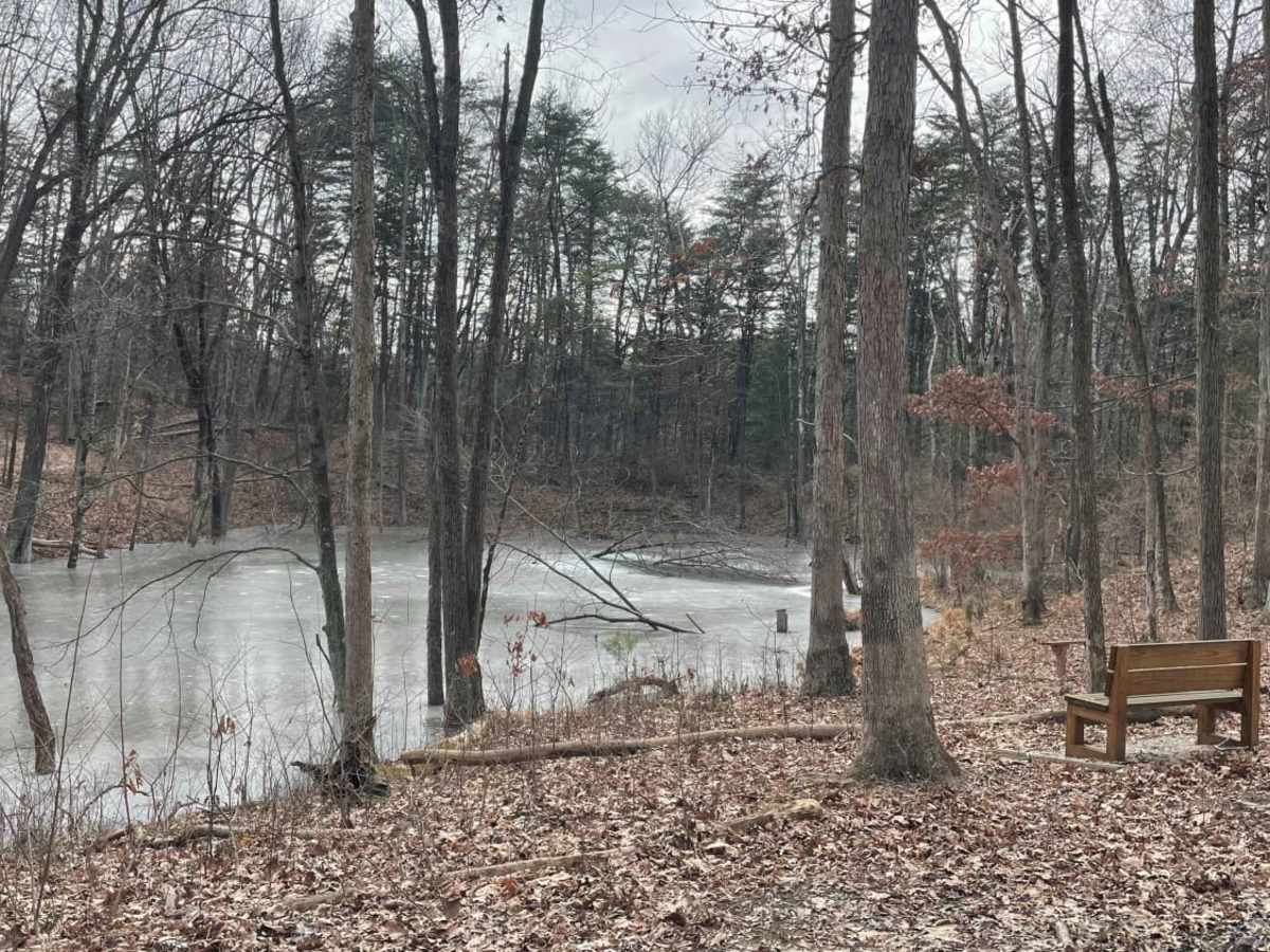Redbird Trail 5 photo 5