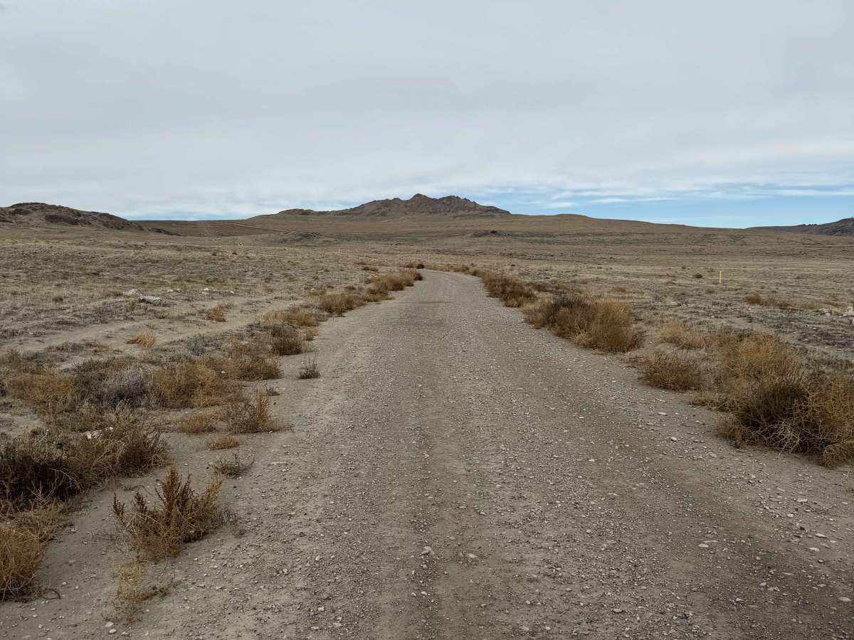 North Dead Cow Point Road photo 6