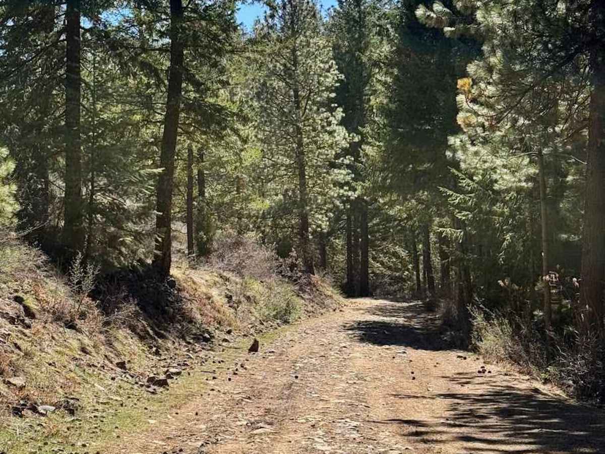 Dawson Canyon Road photo 3
