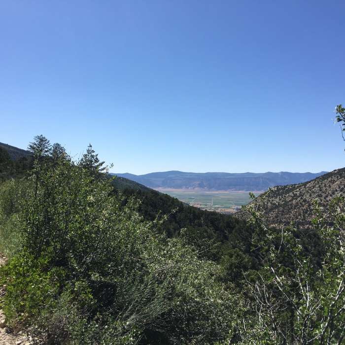 Near Pioneer