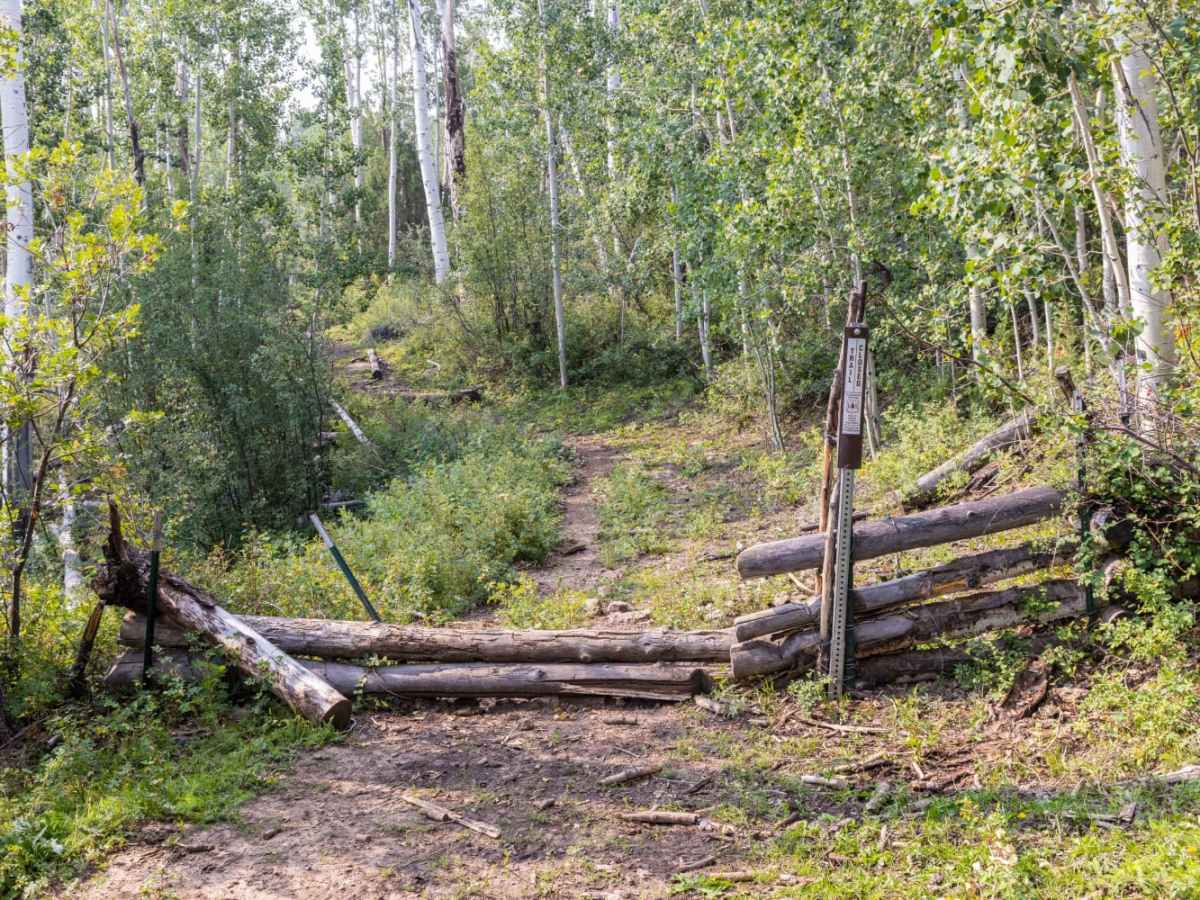 Meadow Gulch Trail photo 5