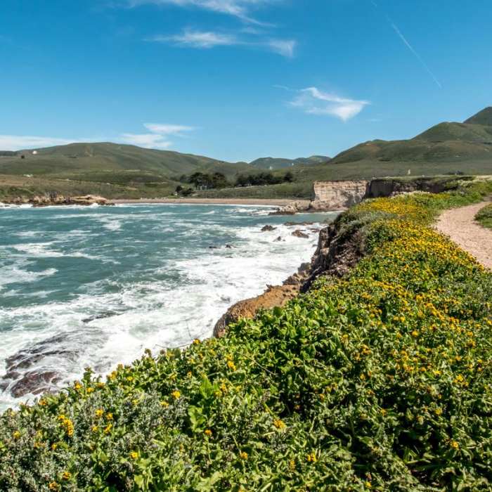 Near Bluff Trail Hike