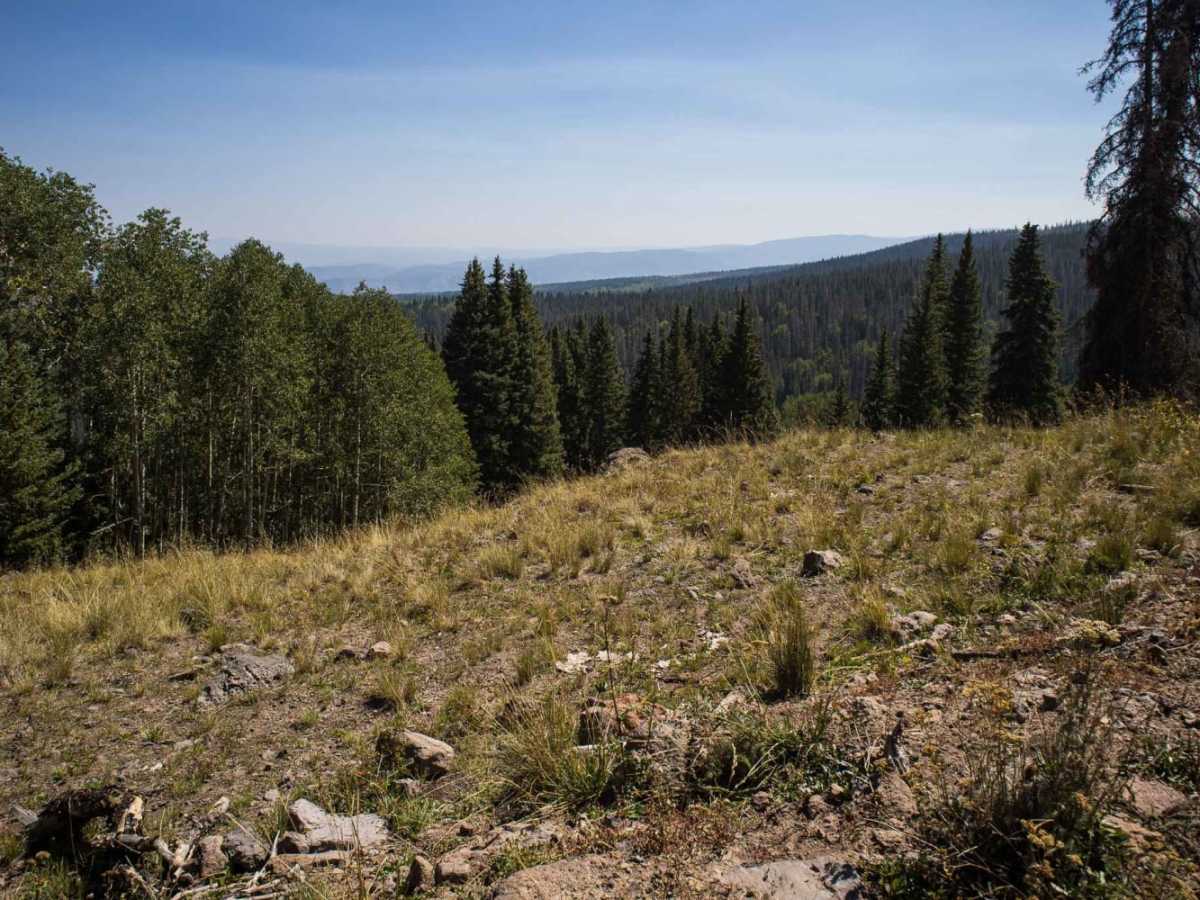 Middle Blue Creek photo 5