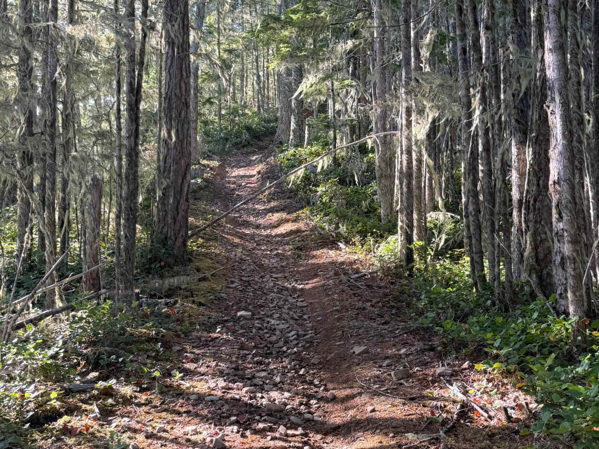 The switchbacks trail photo