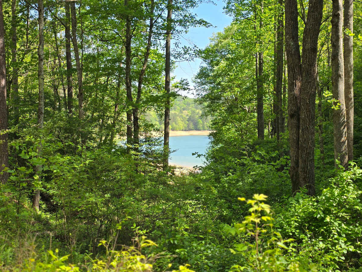 Bear Paw Road trail photo