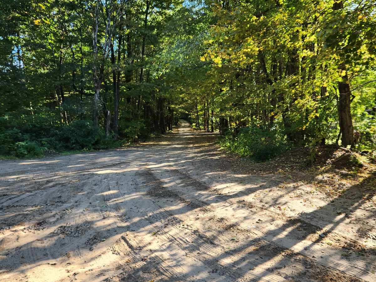 Military Road photo 5
