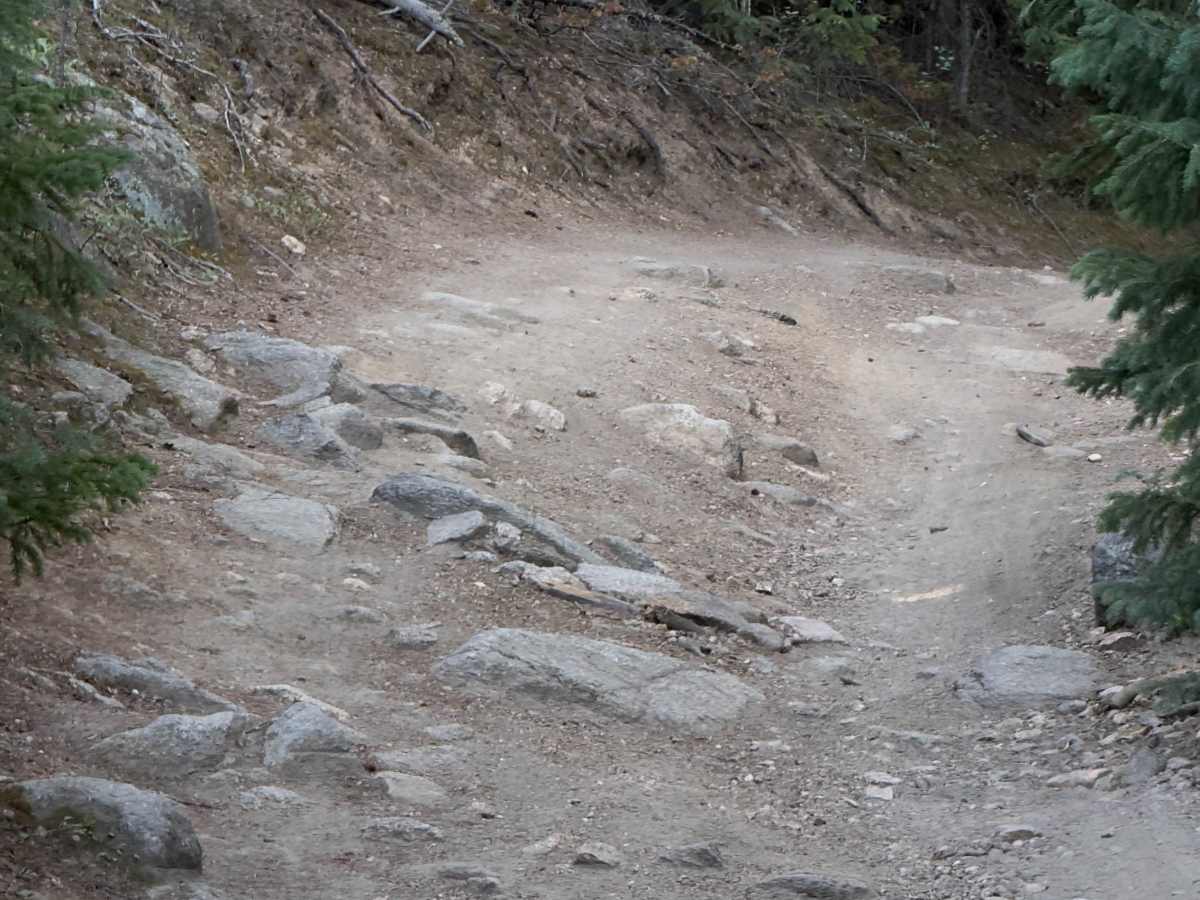 Lower Barbour Fork Road photo 3